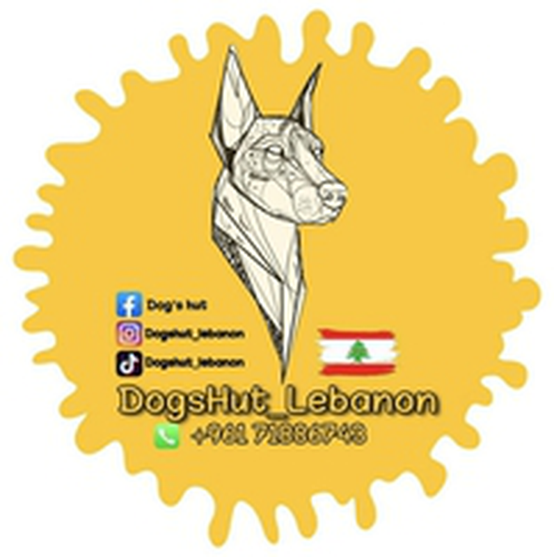 Dogshut-lebanon
